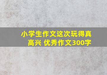 小学生作文这次玩得真高兴 优秀作文300字